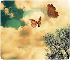 small and larger butterfly in clouds